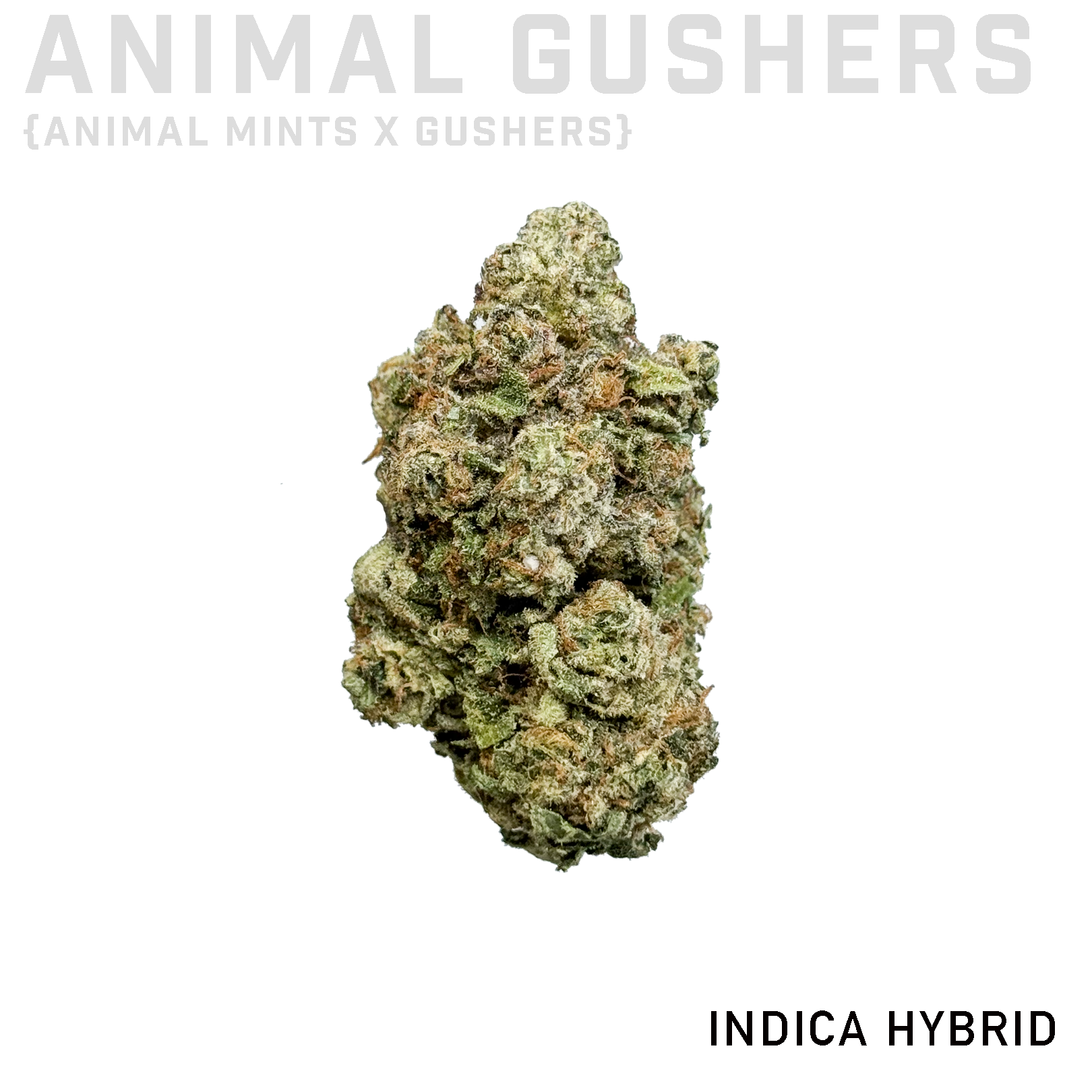 Animal Gushers