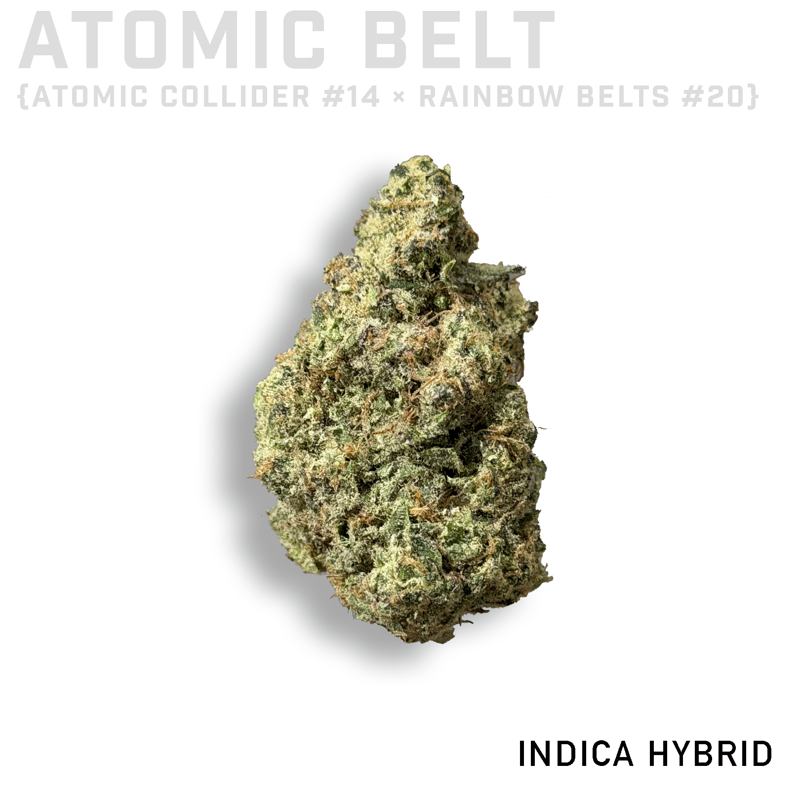 Atomic Belt