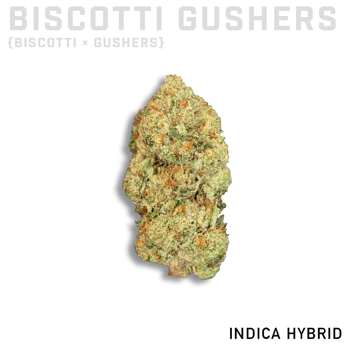 Biscotti Gushers
