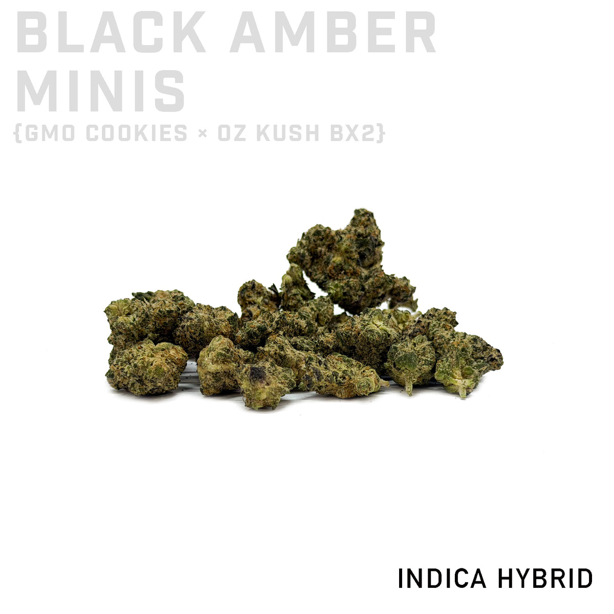 Black Amber Minis