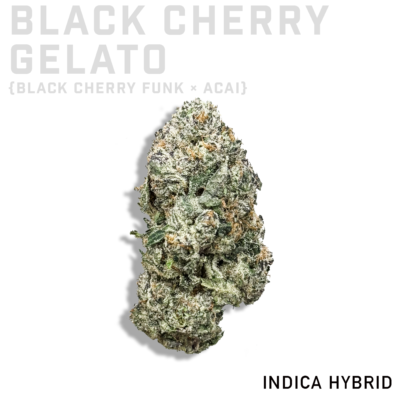 Black Cherry Gelato