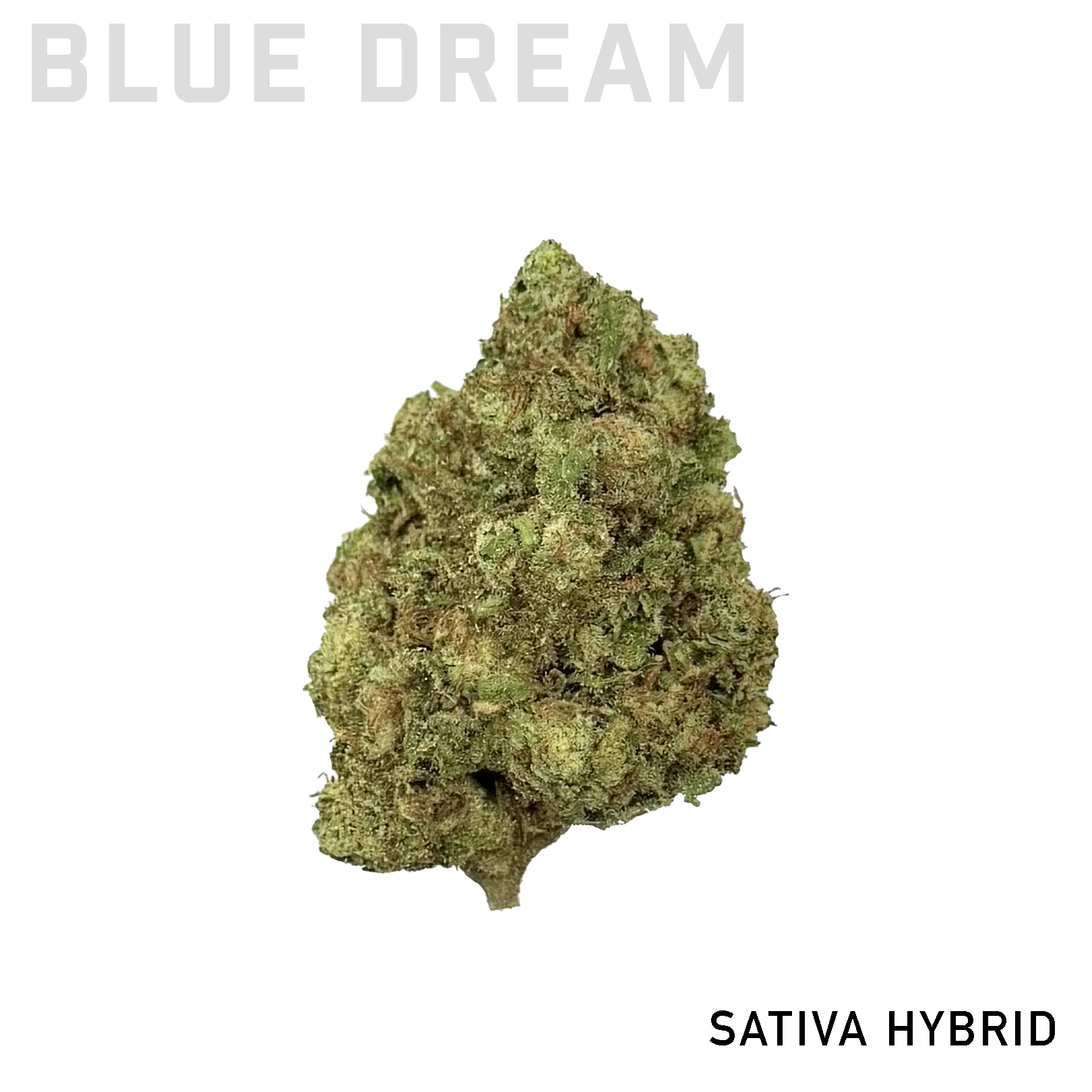 Blue Dream