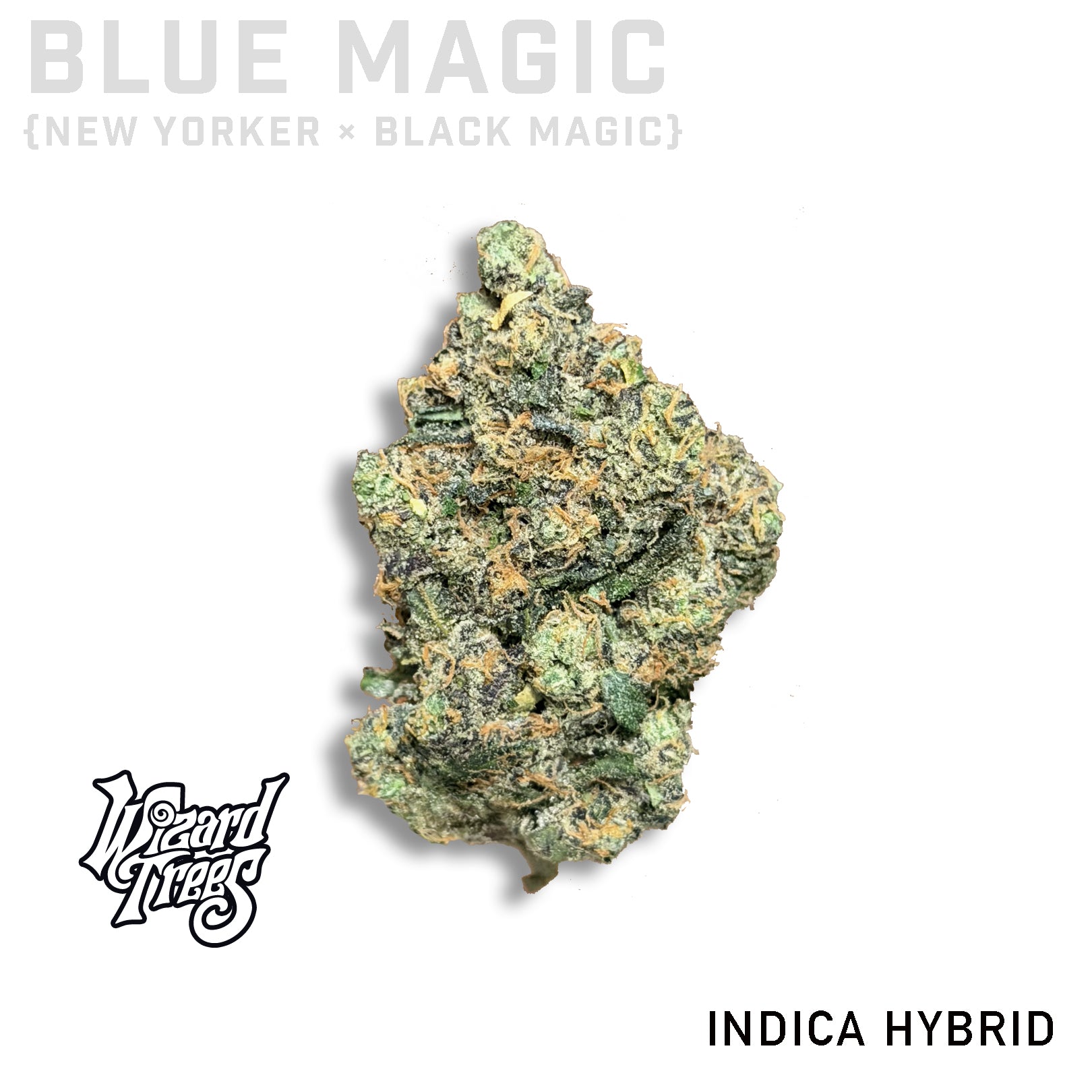Blue Magic by Wizard Trees
