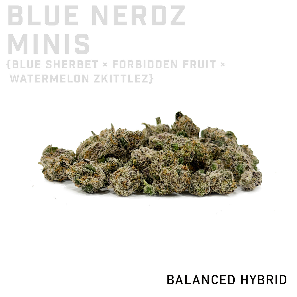Blue Nerdz Minis