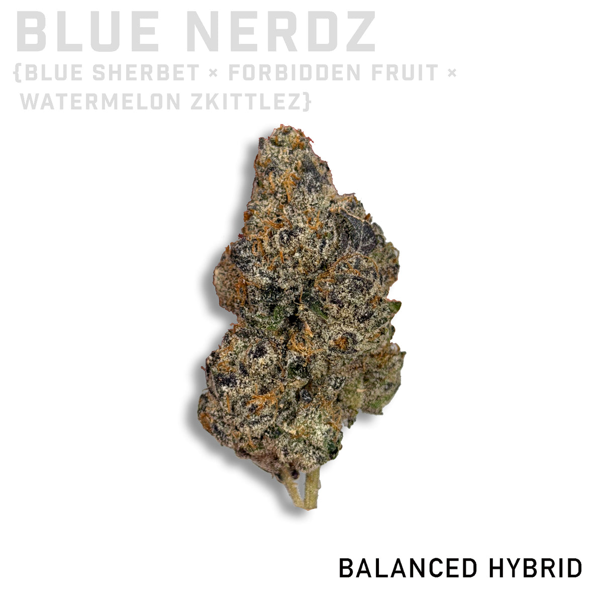 Blue Nerdz