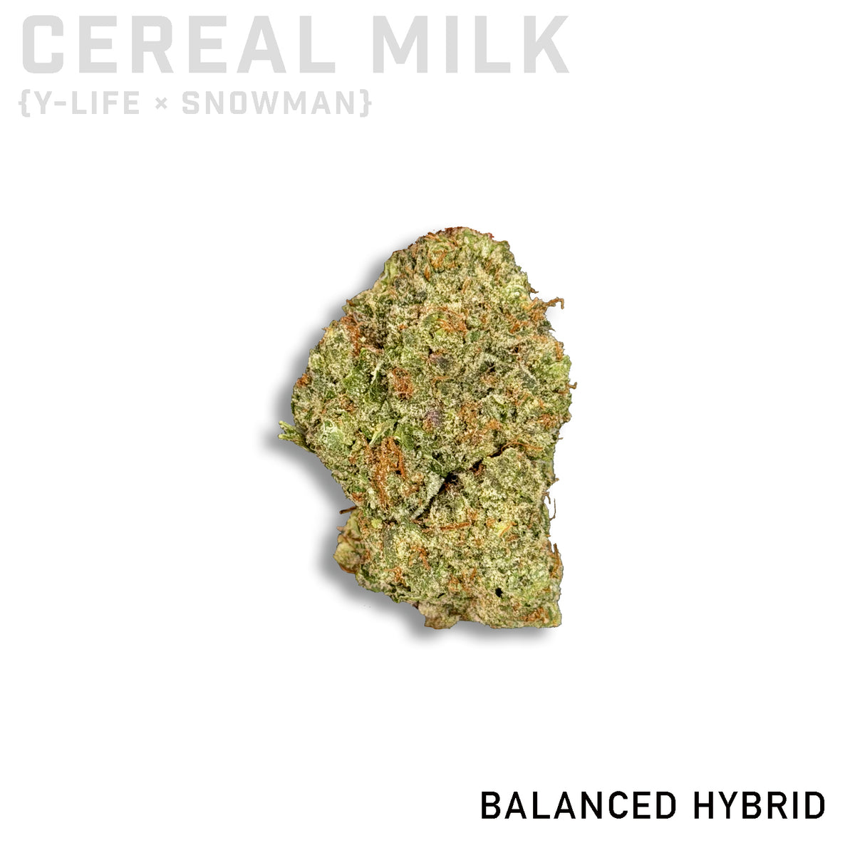Cereal Milk