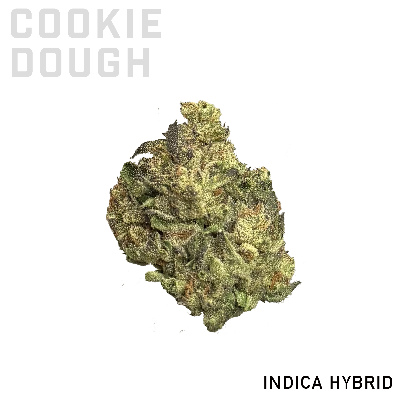 Cookie Dough