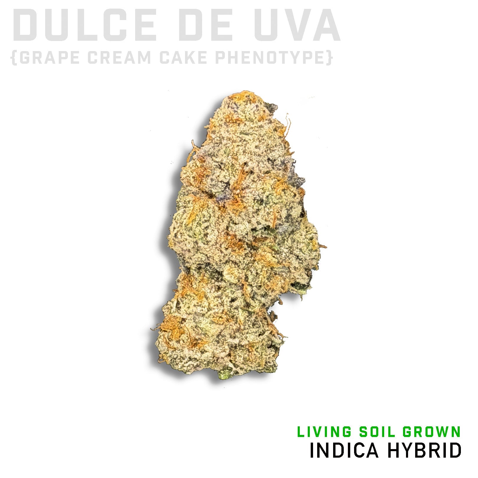Dulce De Uva Living Soil Grown