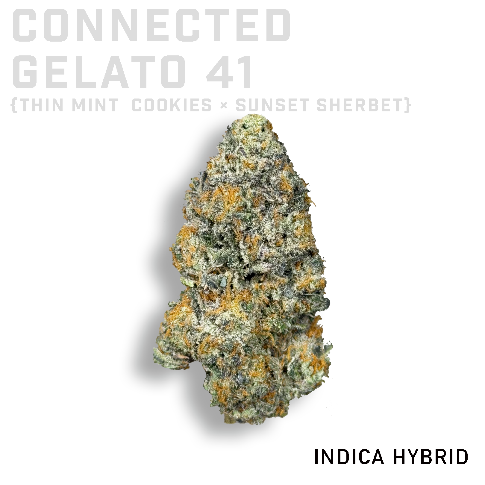 Connected Gelato 41