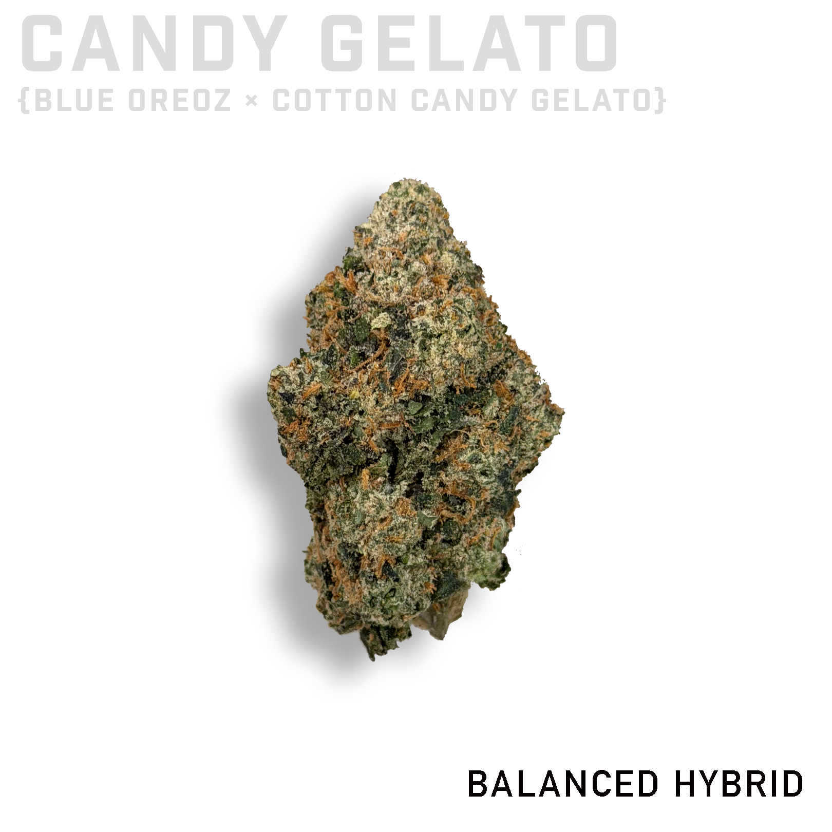 Candy Gelato