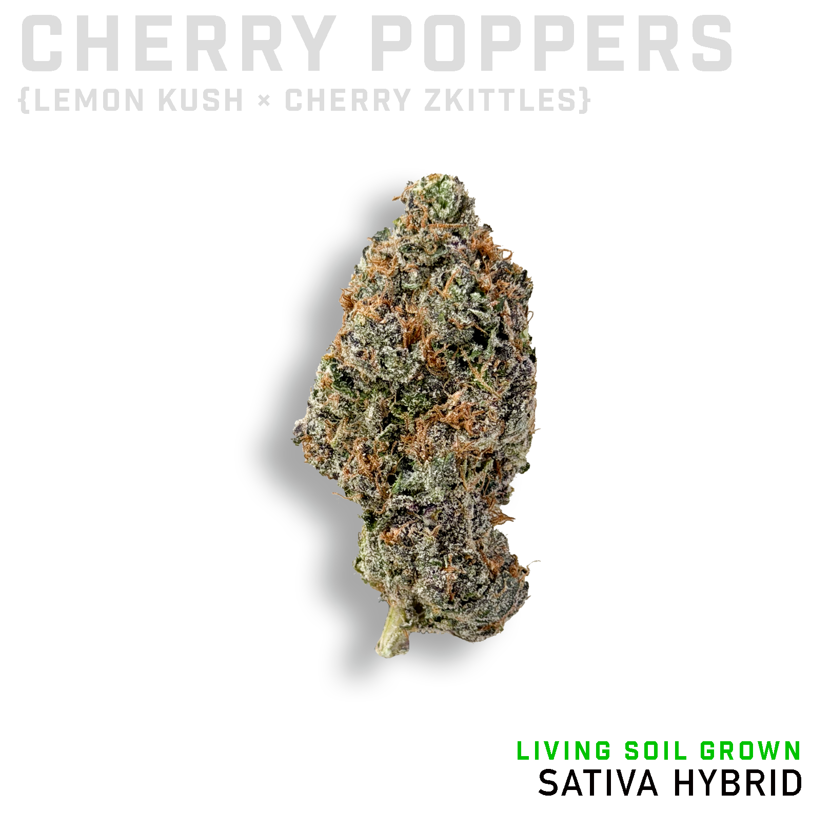 Cherry Poppers Living Soil Grown