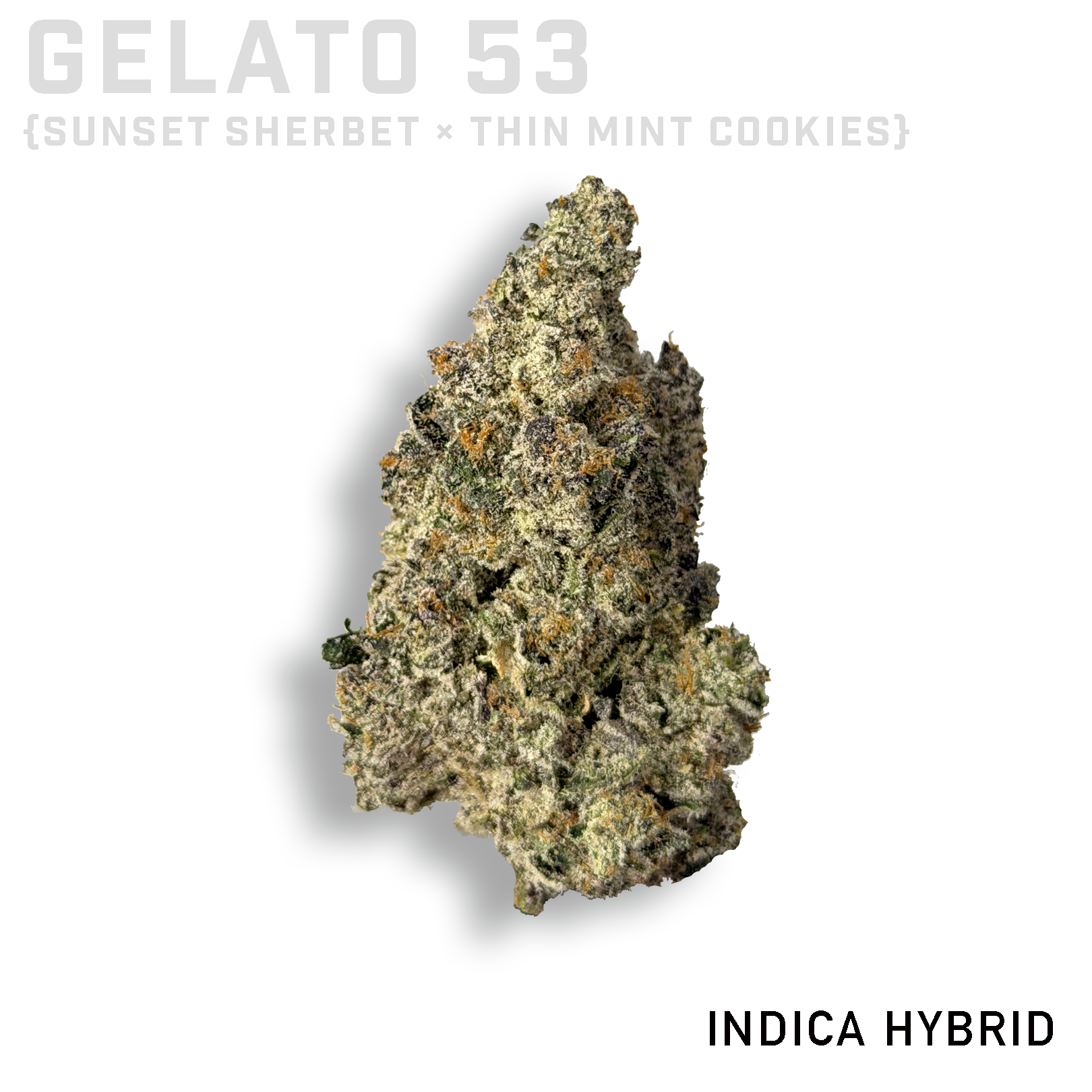 Gelato 53