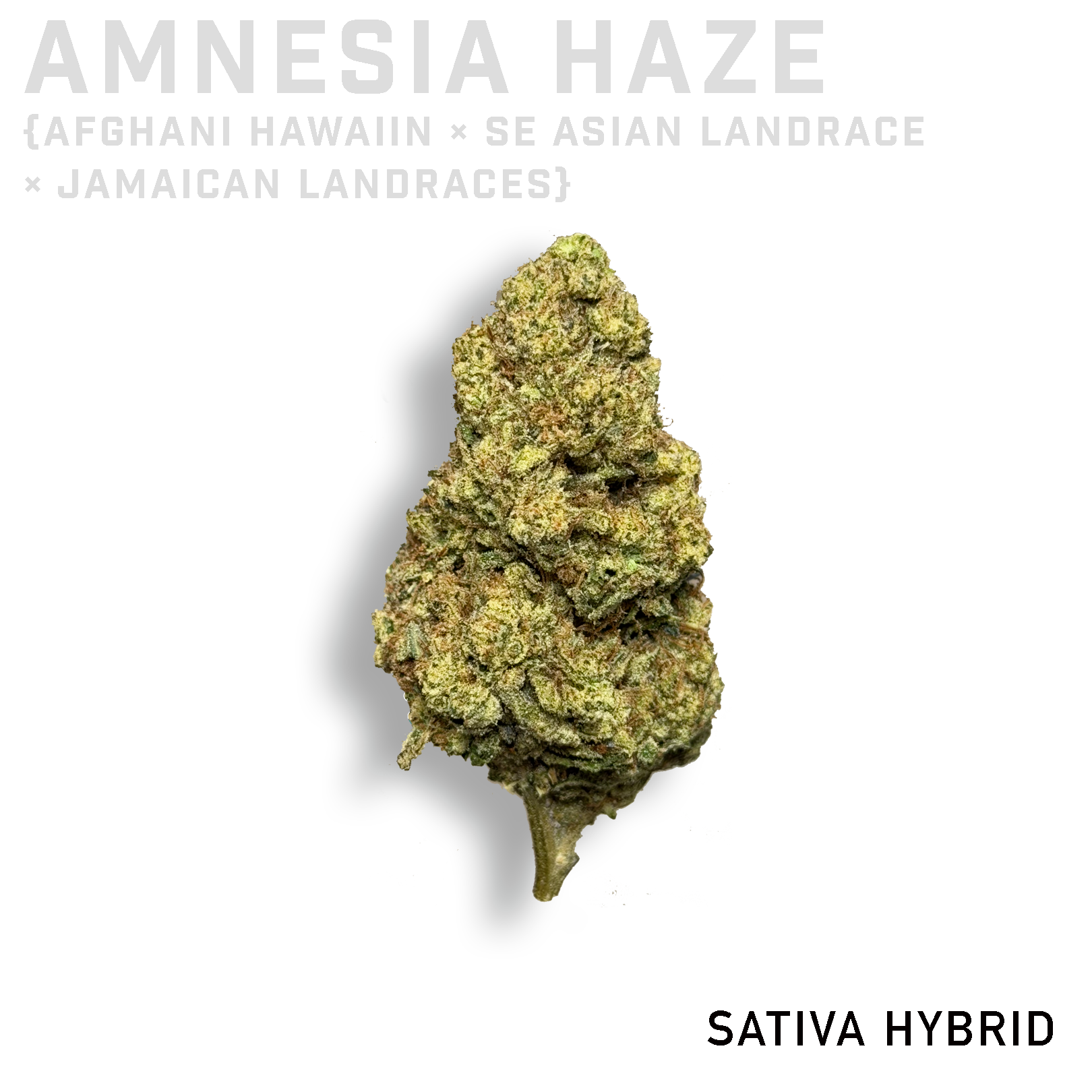 Amnesia Haze