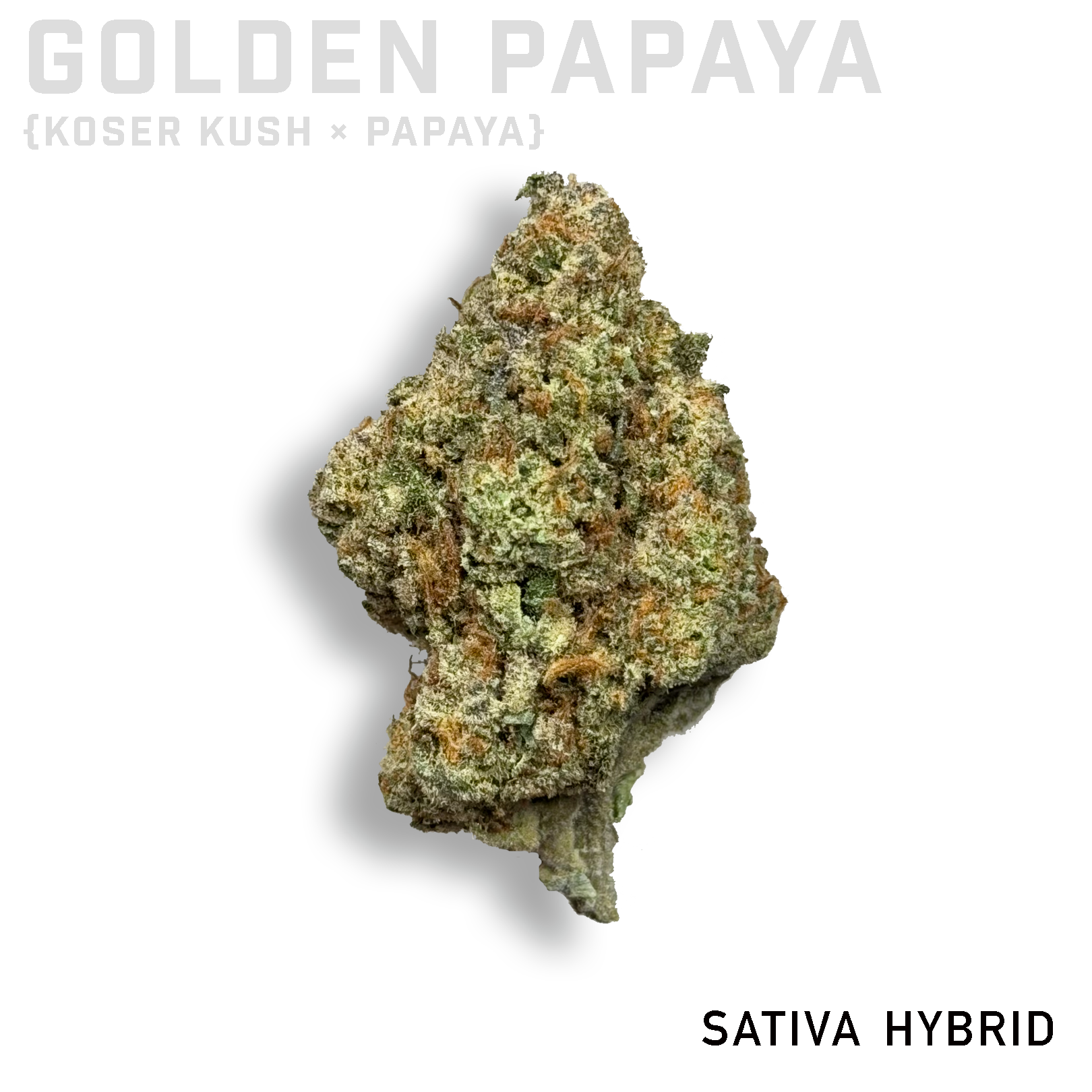Golden Papaya