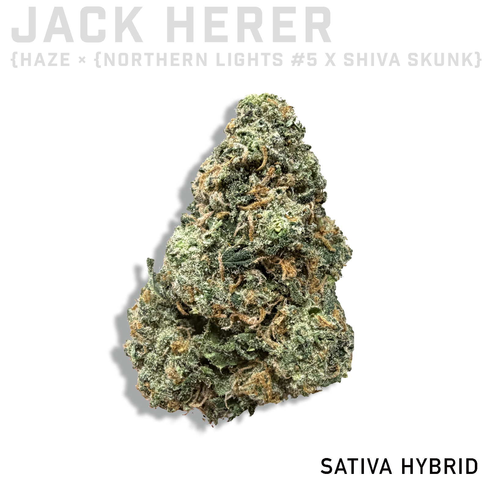 Jack Herer