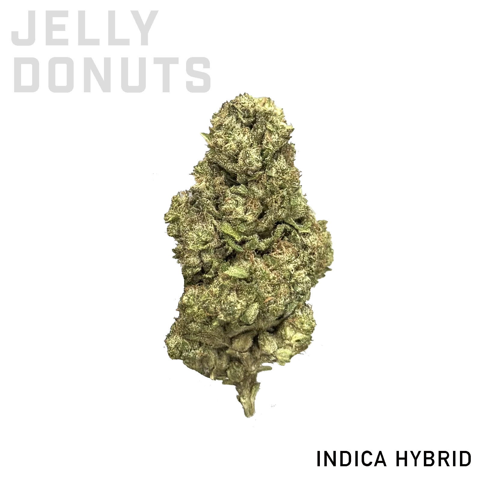 Jelly Donuts