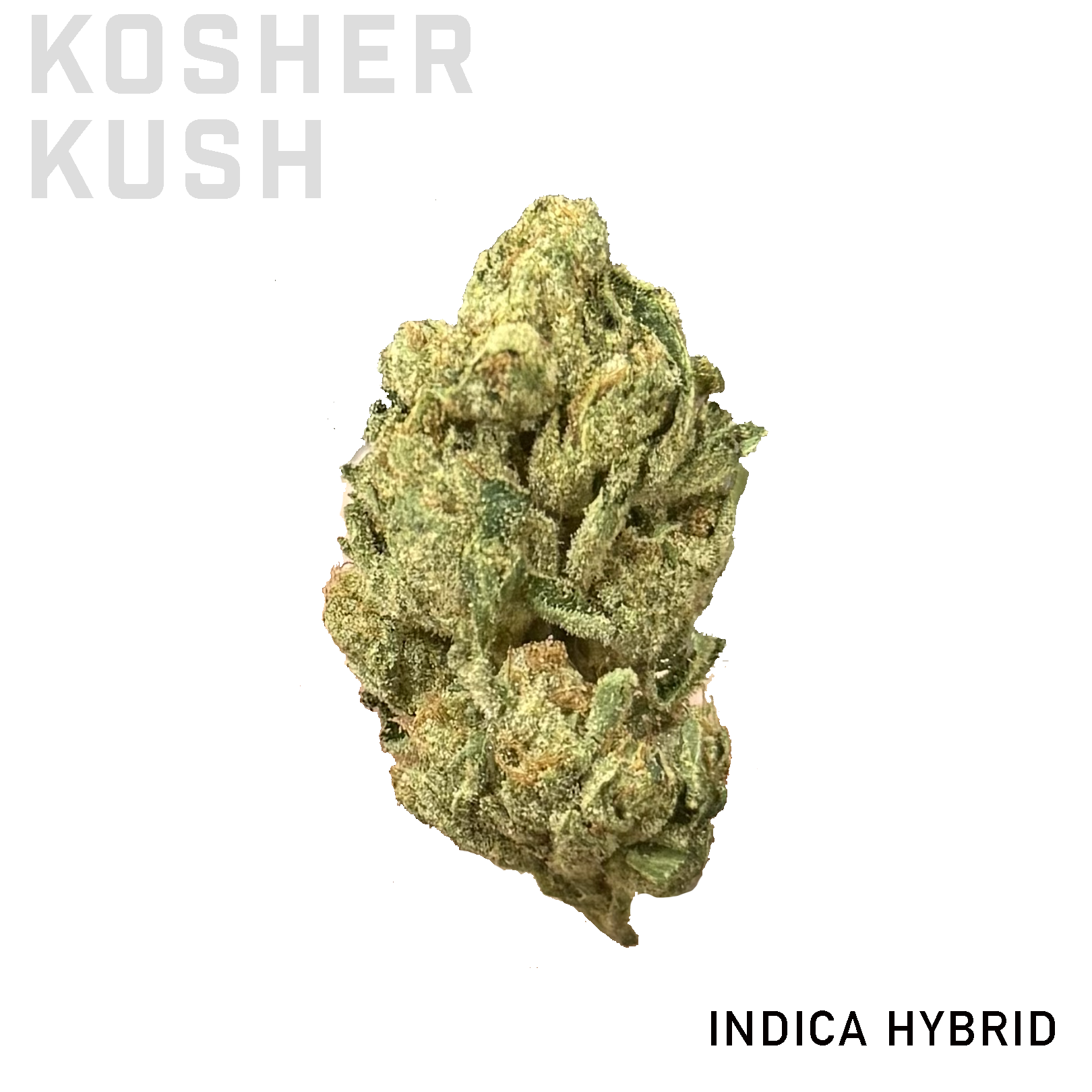 Kosher Kush