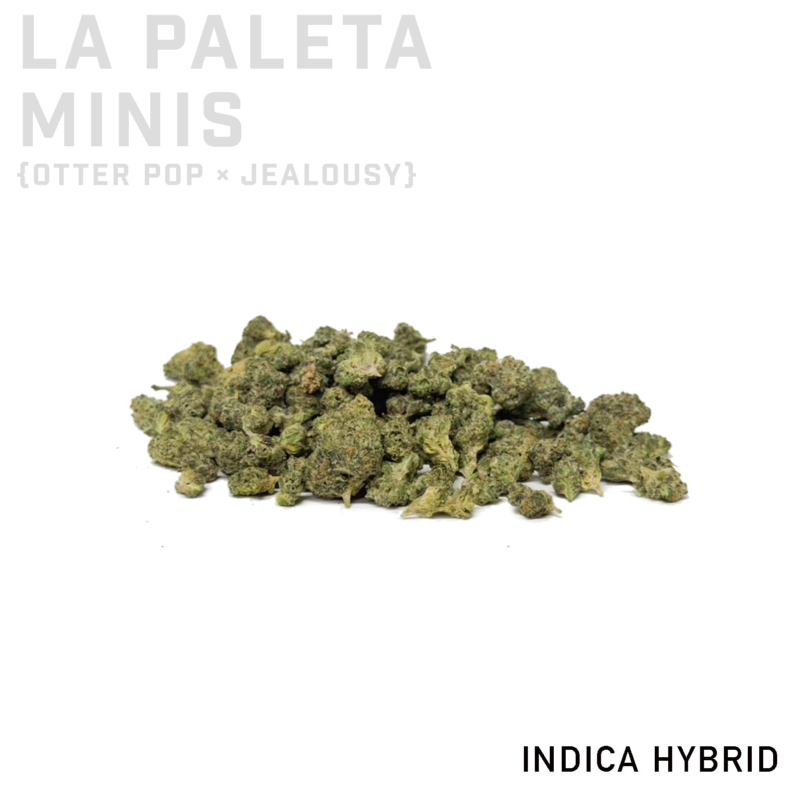 La Paleta Minis