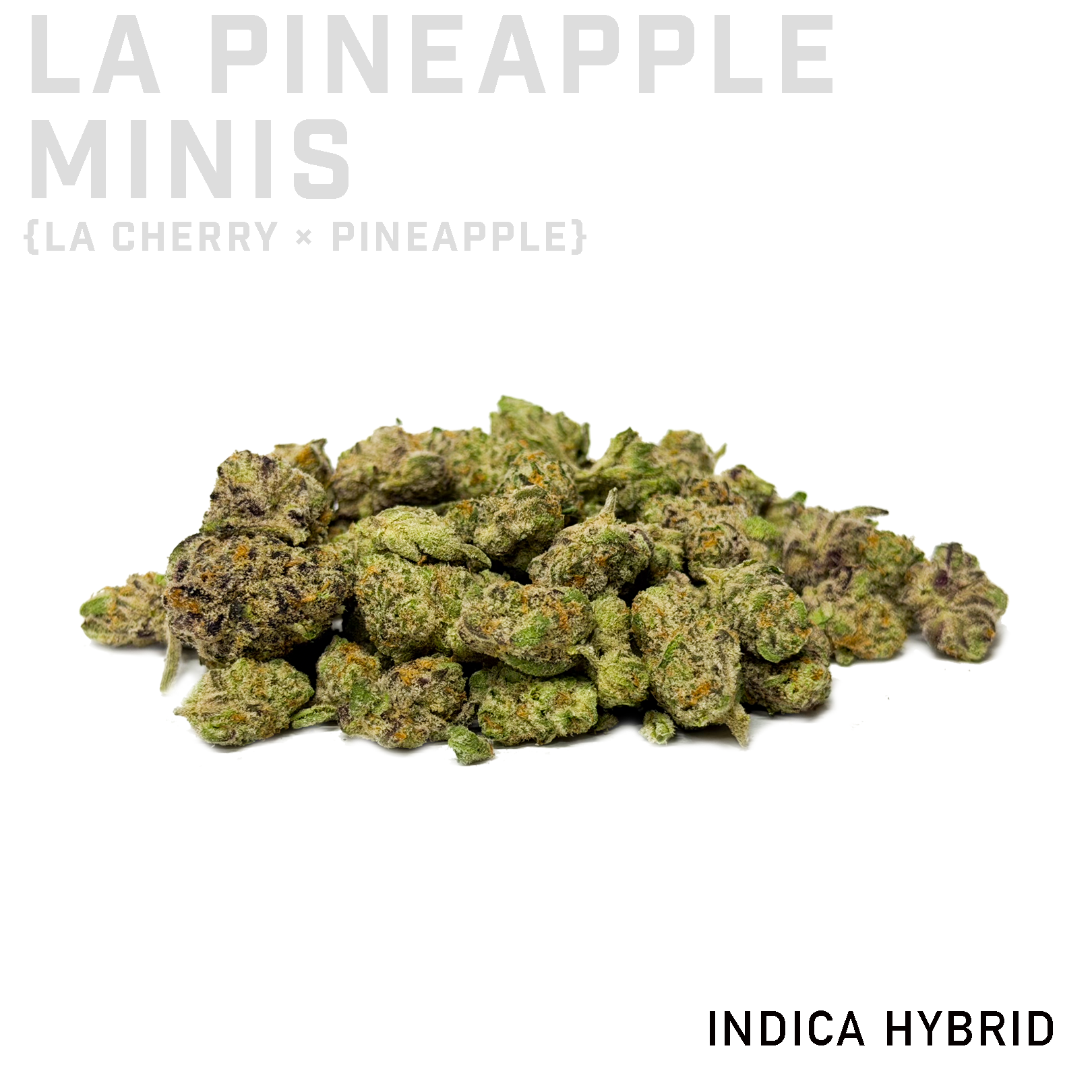 LA Pineapple Minis