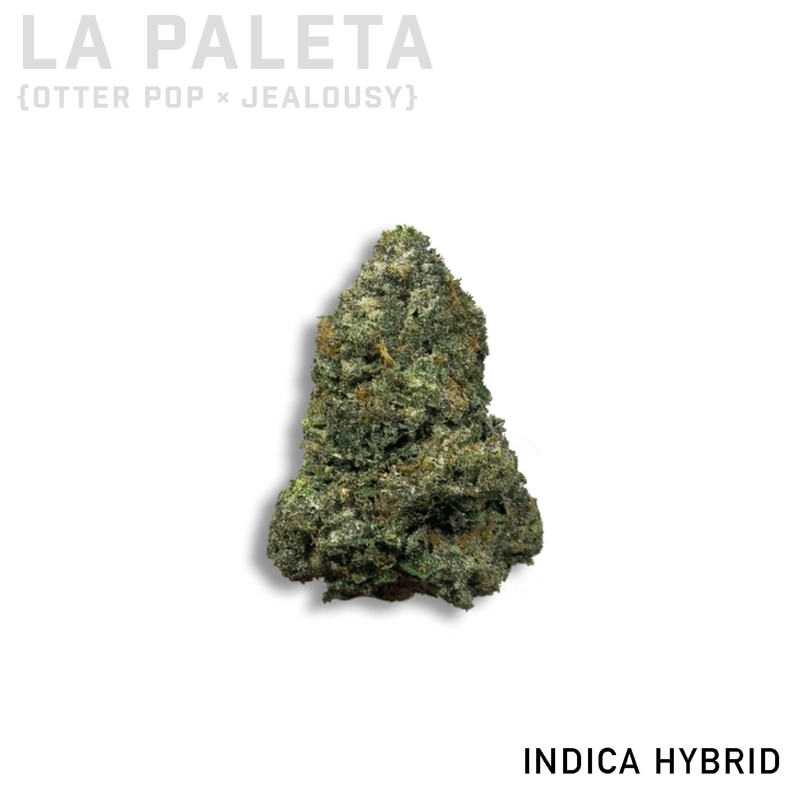 LA Paleta
