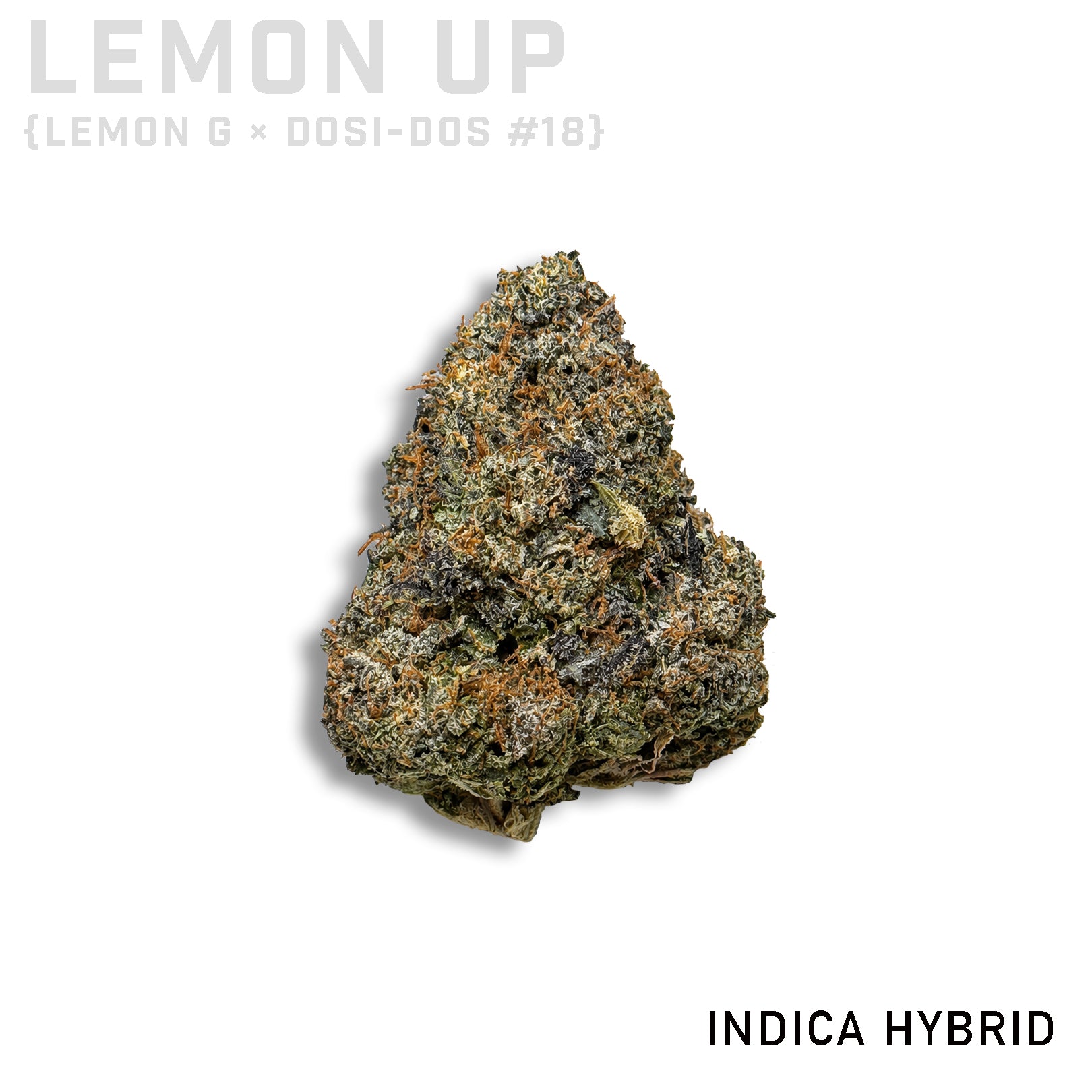 Lemon Up