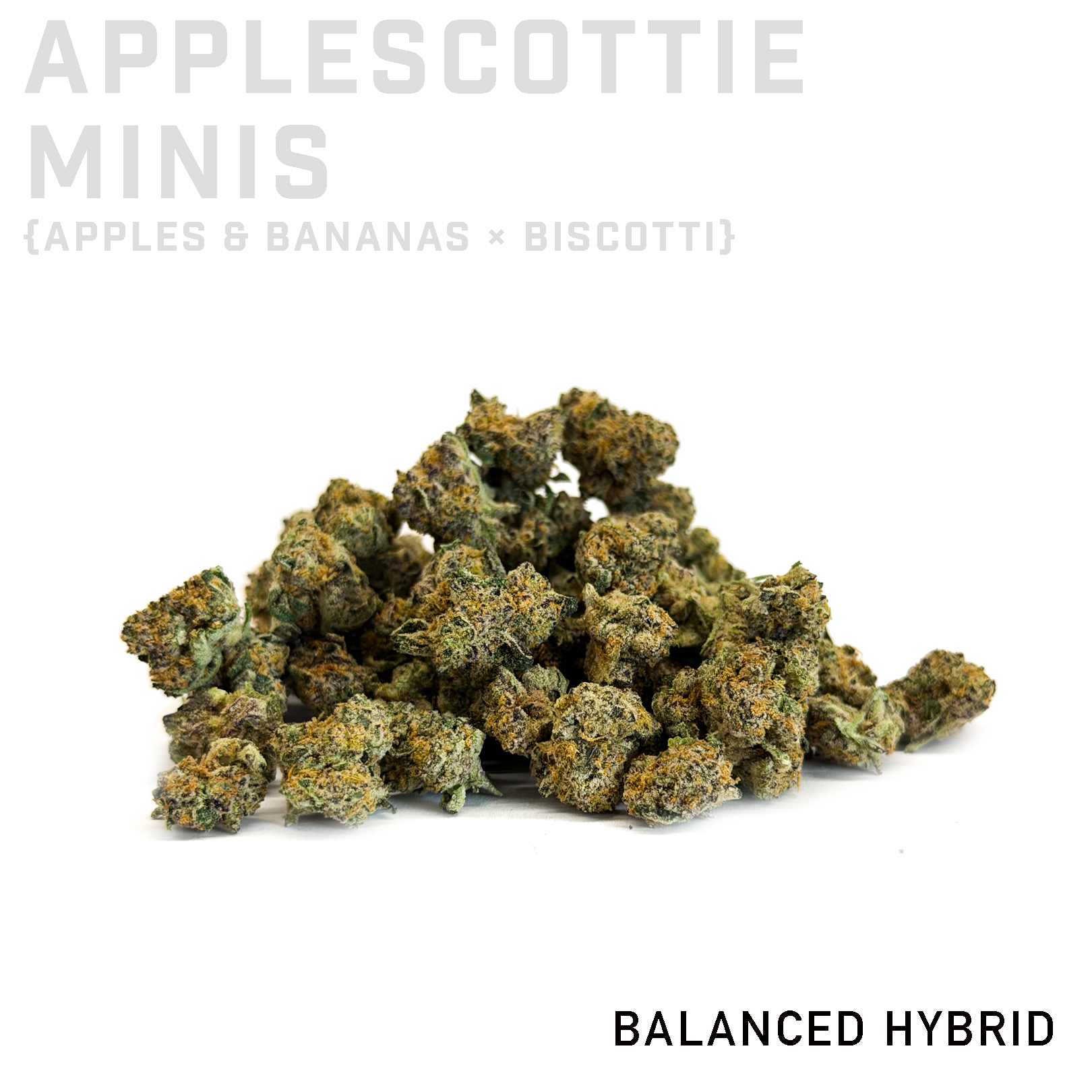 Applescotti Minis