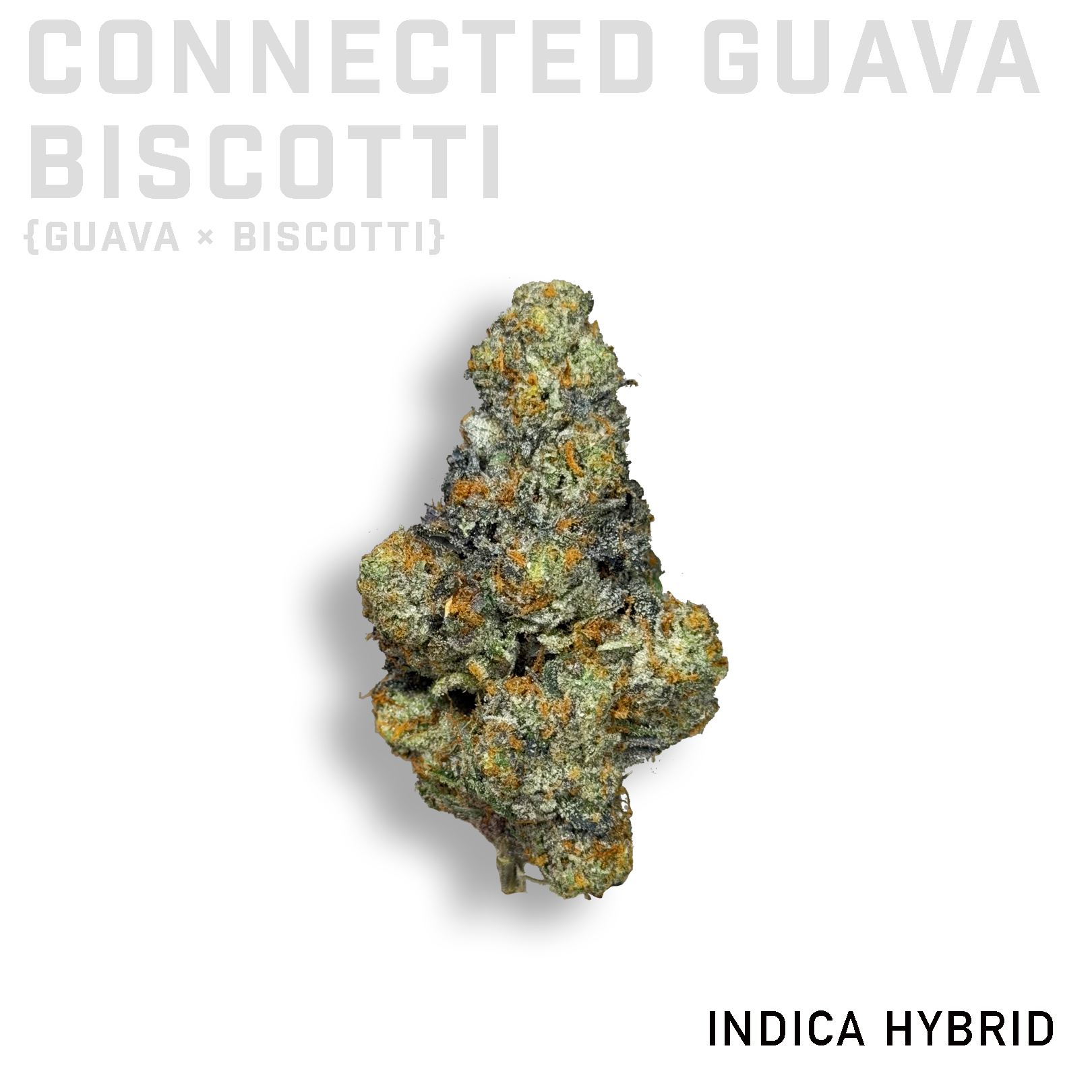 Connected Guava Biscotti