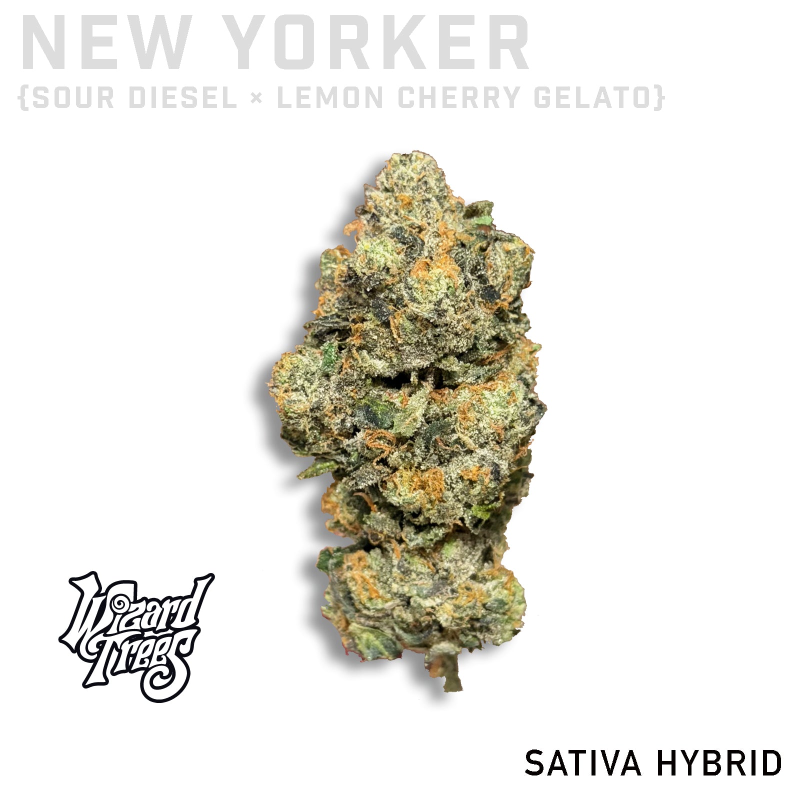New Yorker by Wizard Trees