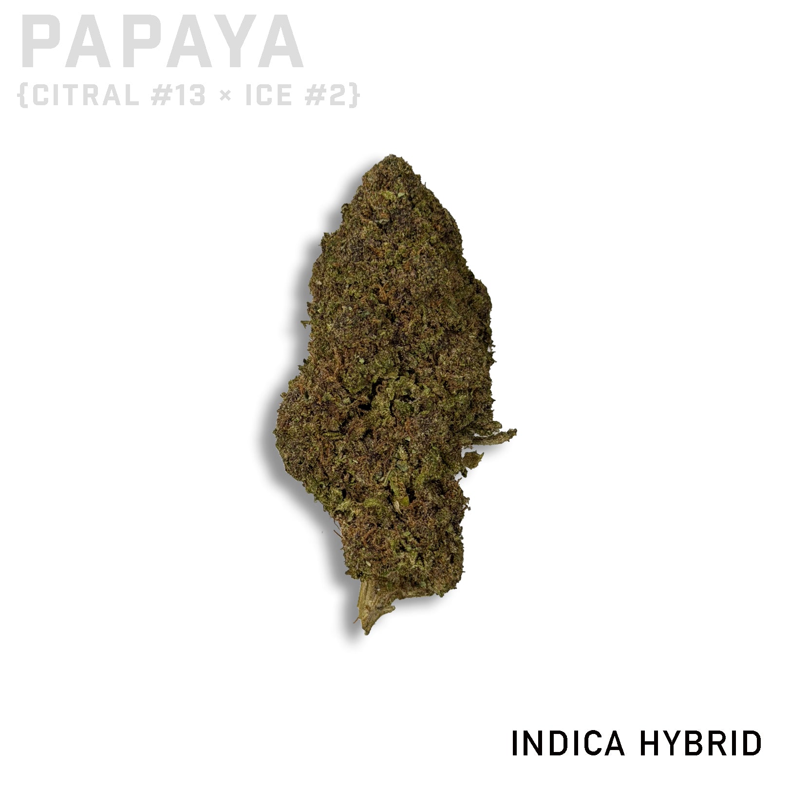 Papaya