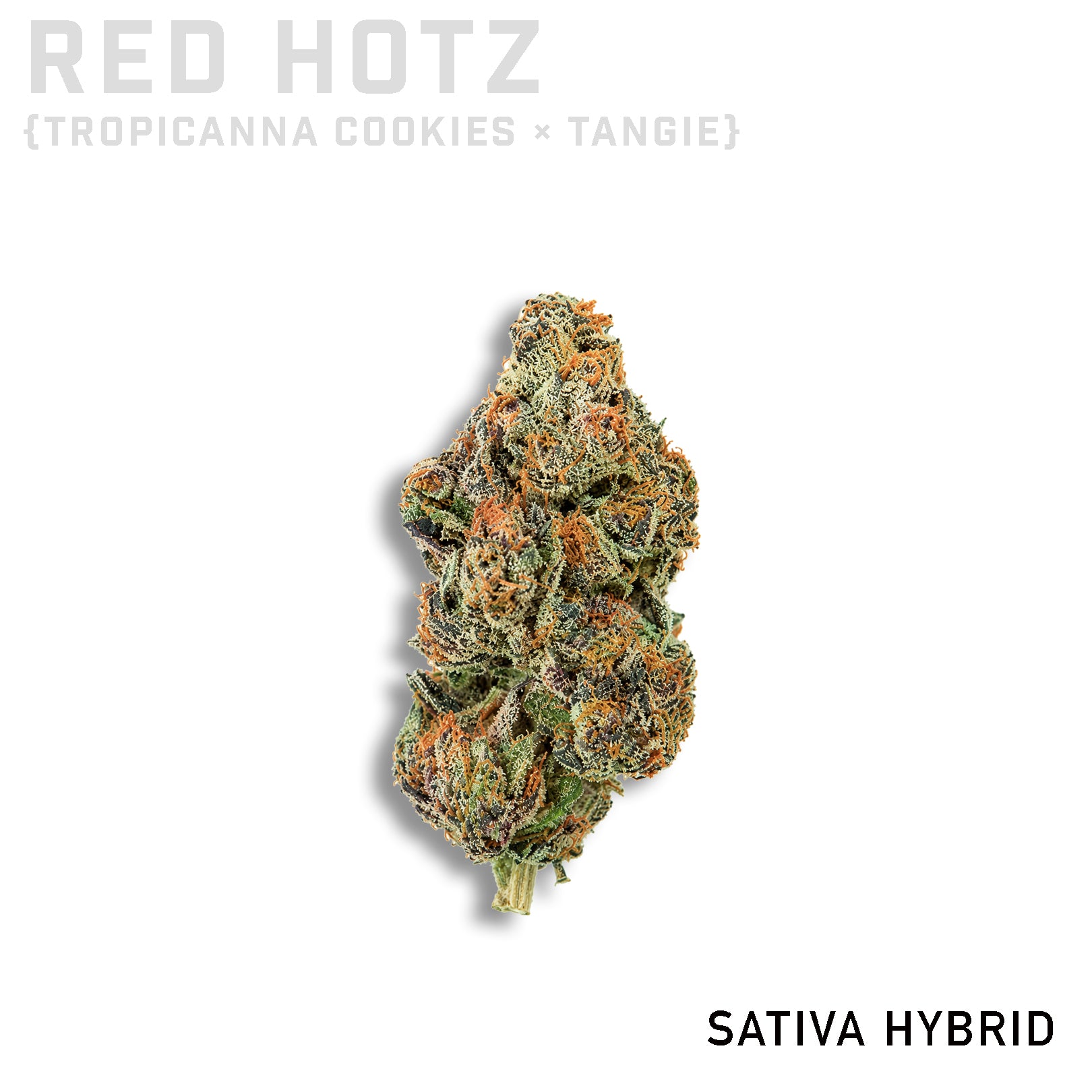 Red Hotz