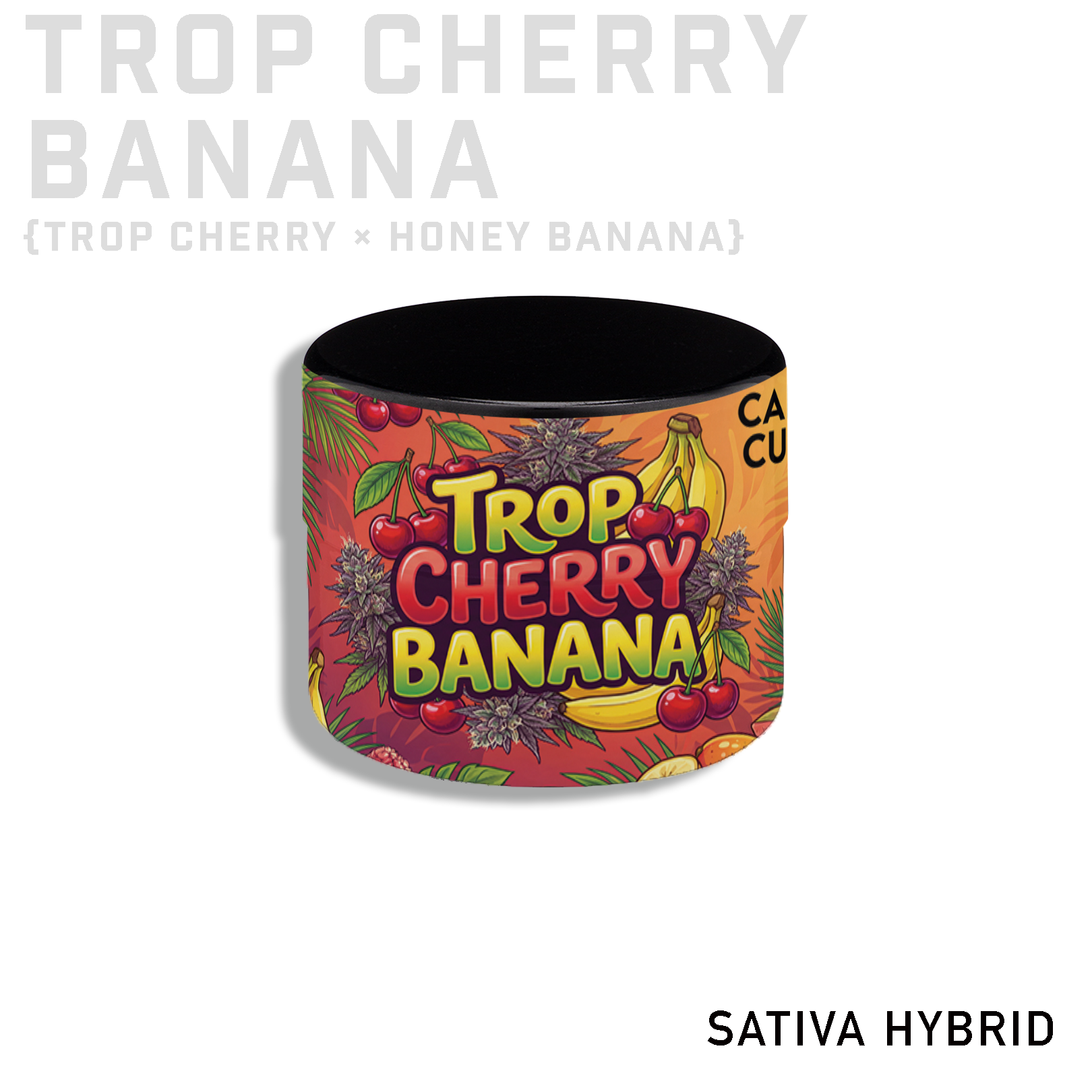 Trop Cherry Banana THCA Hash Rosin