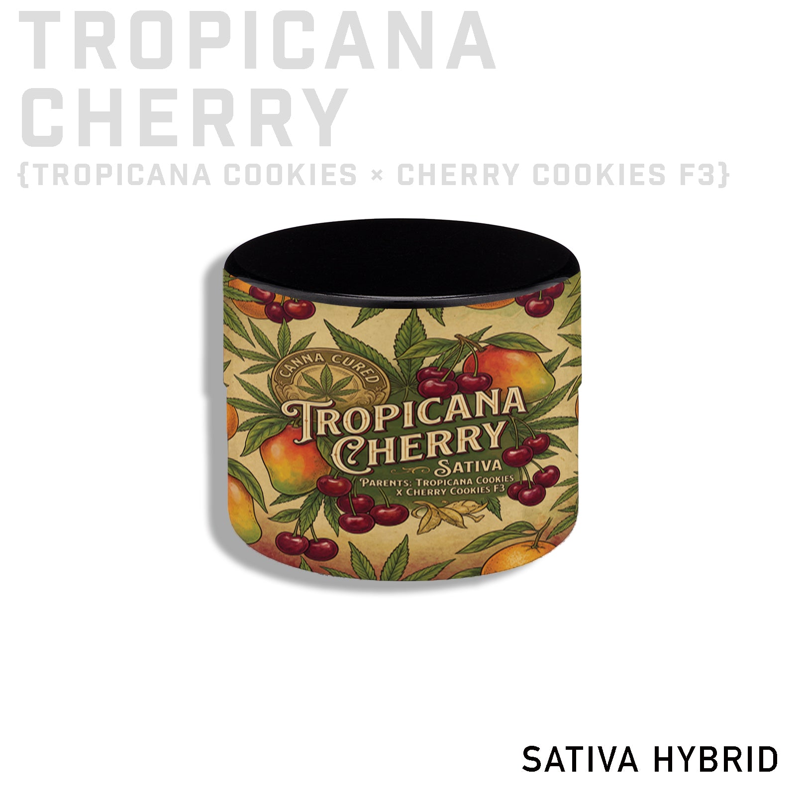 Tropicana Cherry THCA Rosin