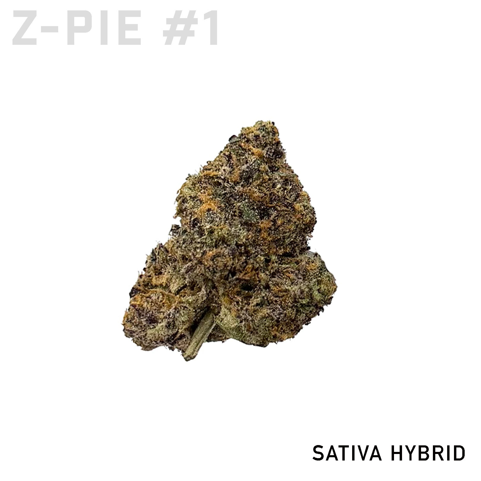 Z-PIE #1