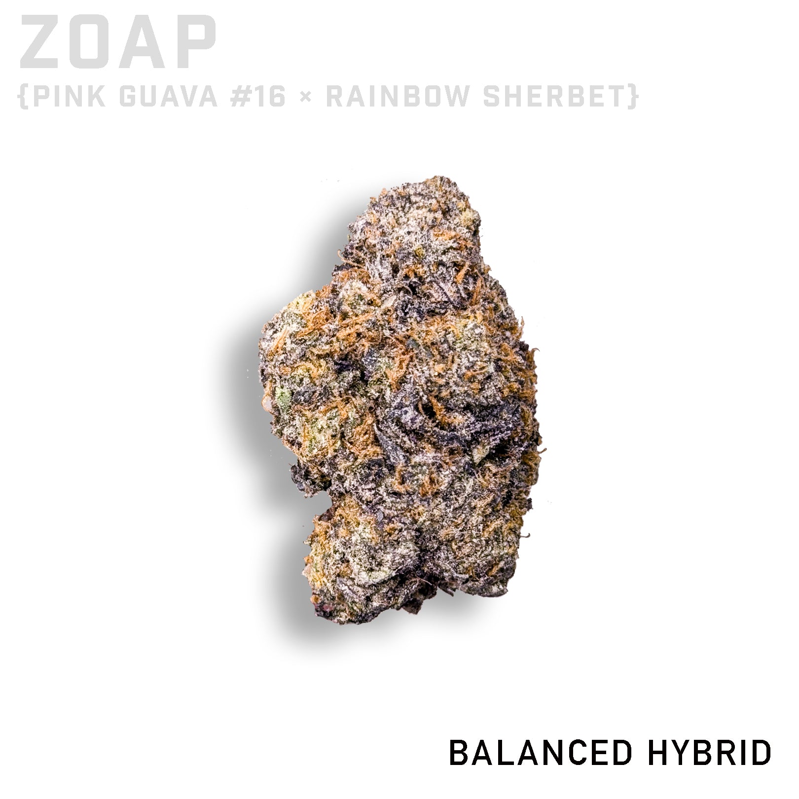 Connected Zoap