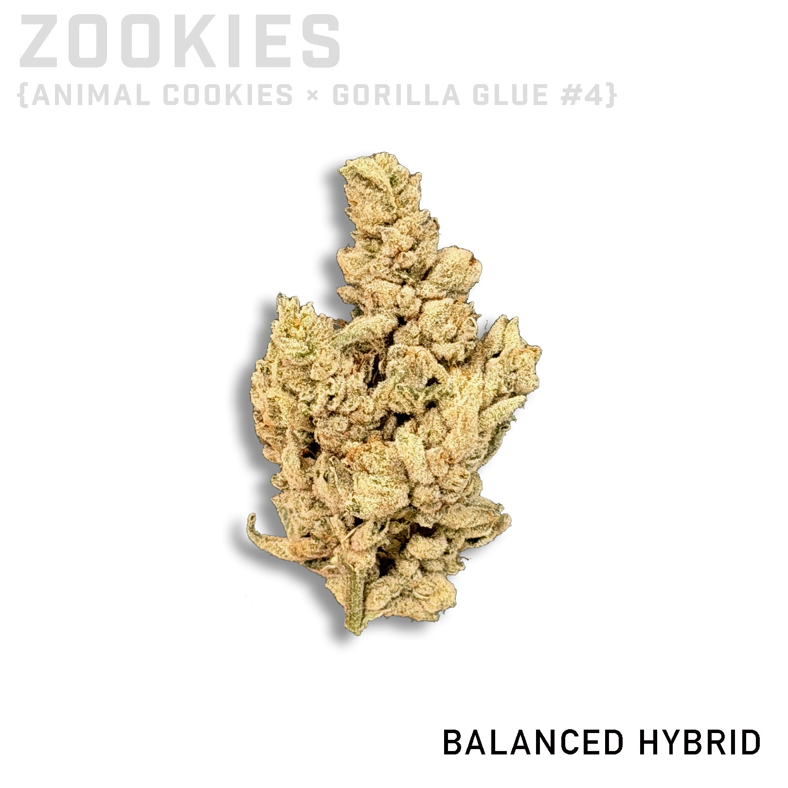 Zookies