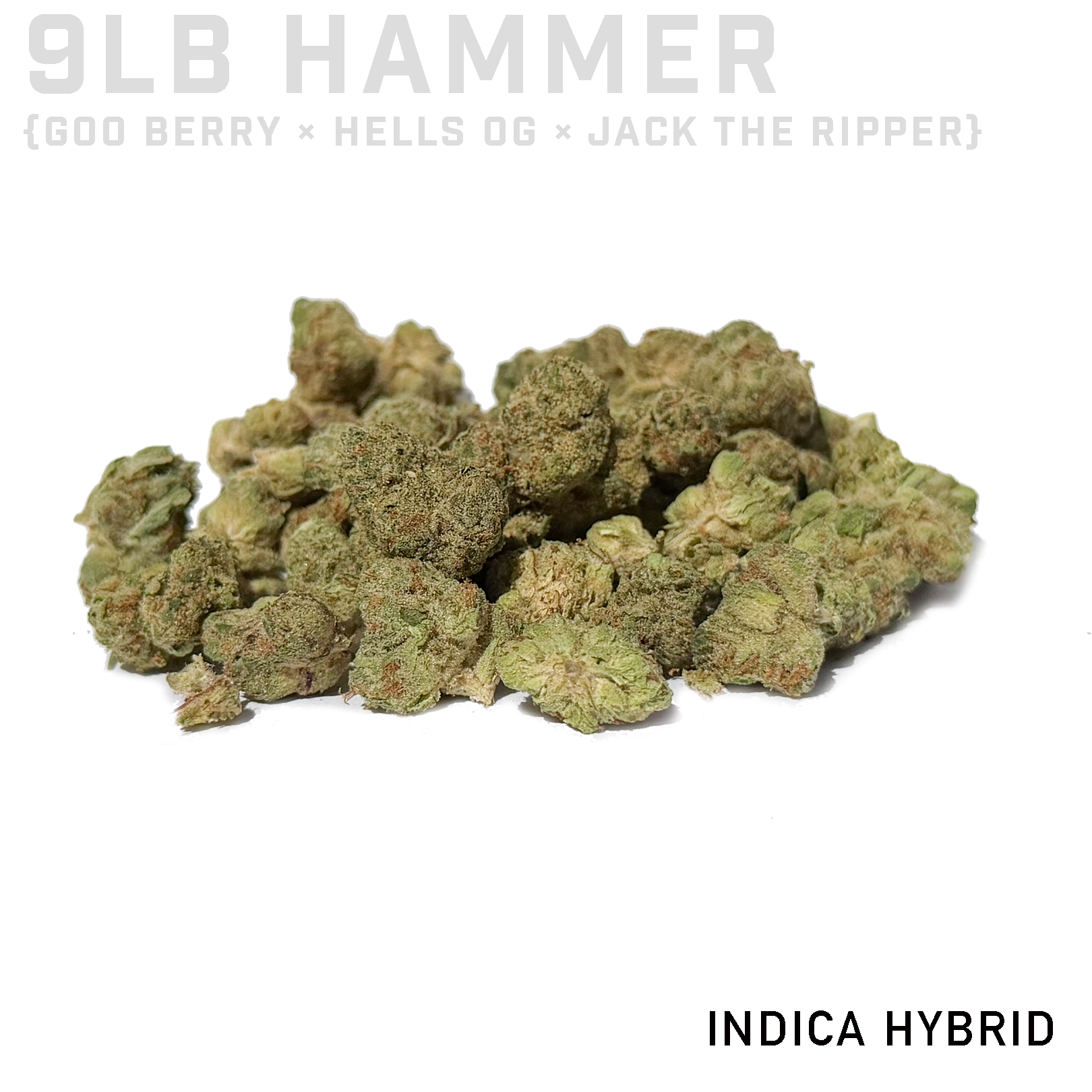 9LB Hammer Minis