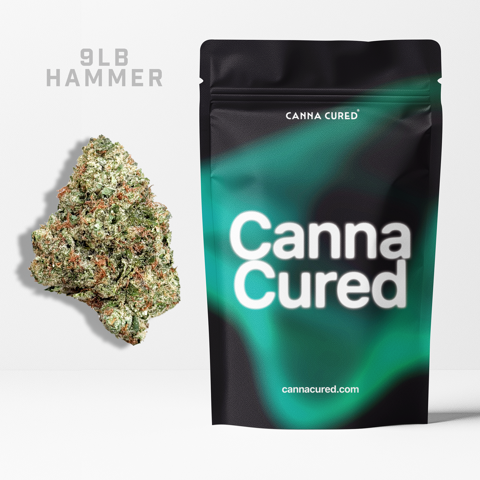 9LB Hammer