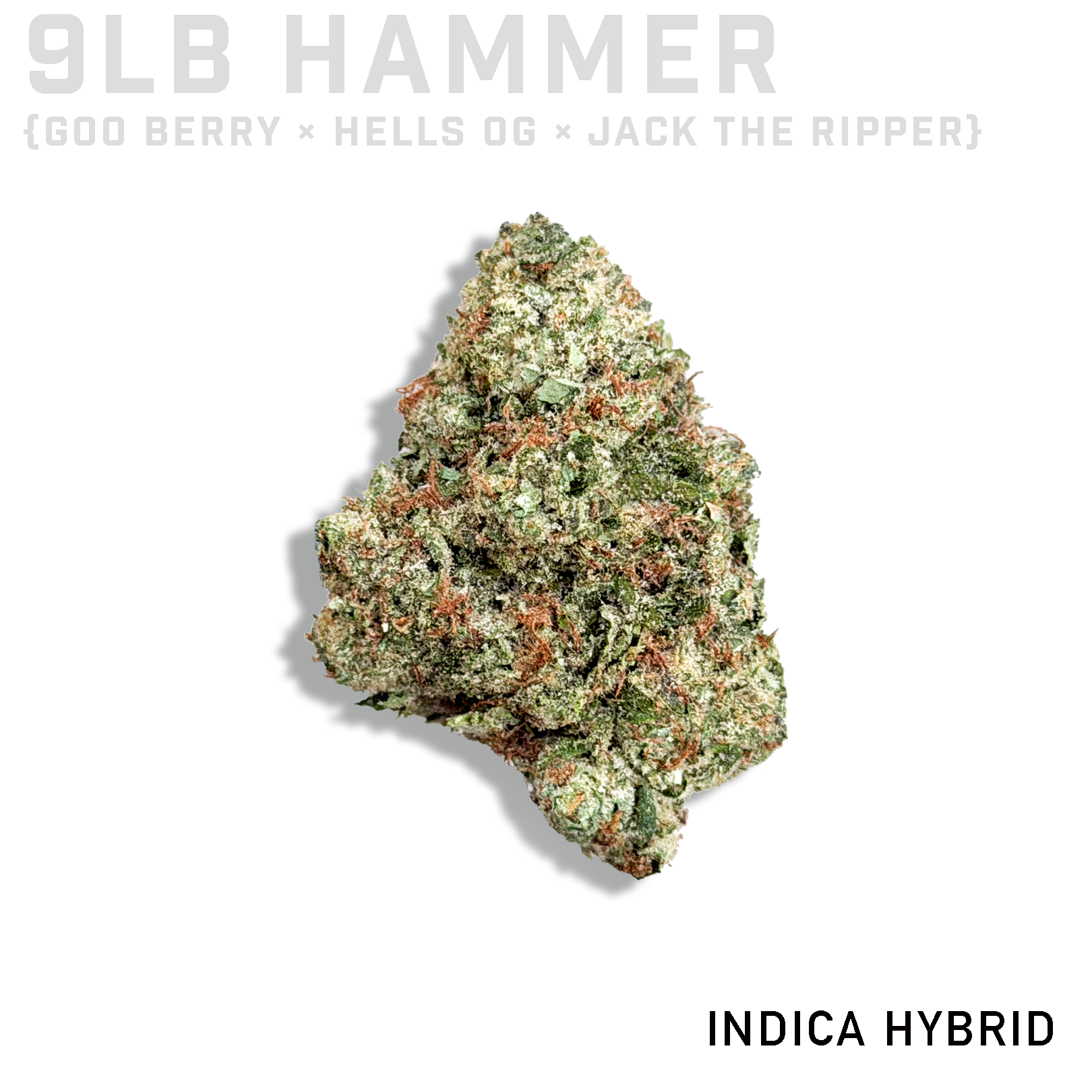 9LB Hammer