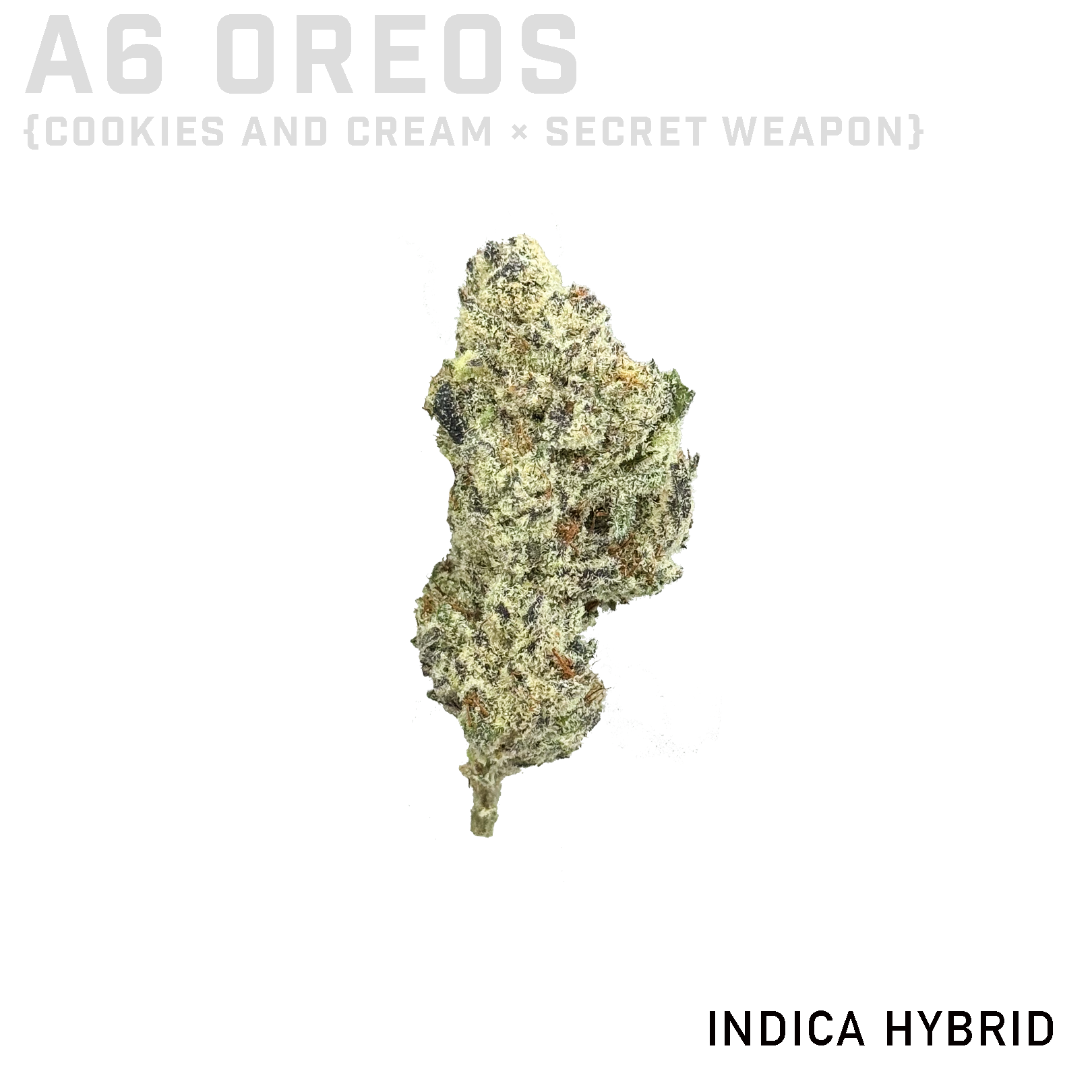 A6 Oreos