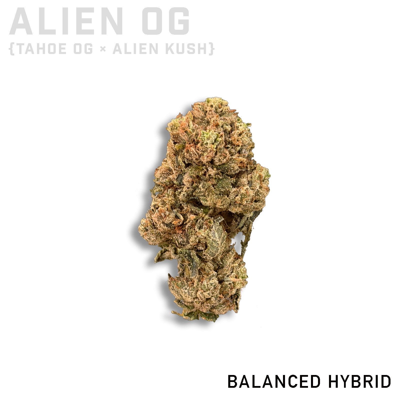 Alien OG