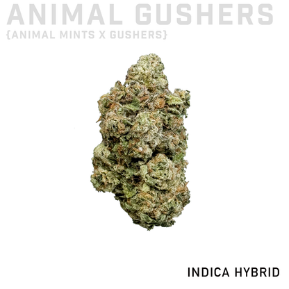 Animal Gushers