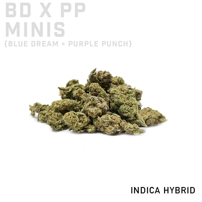 Blue Dream x Purple Punch Minis