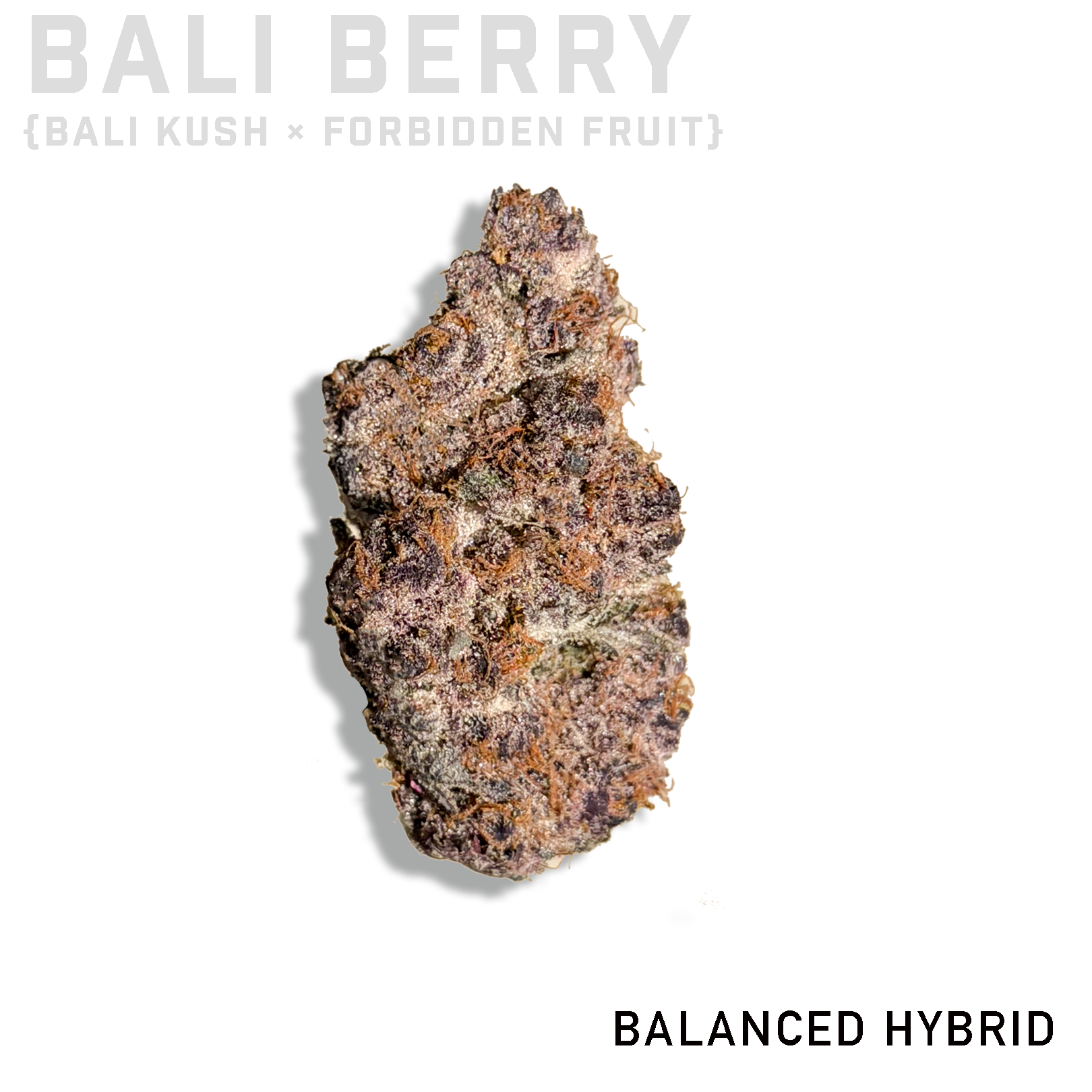Bali Berry