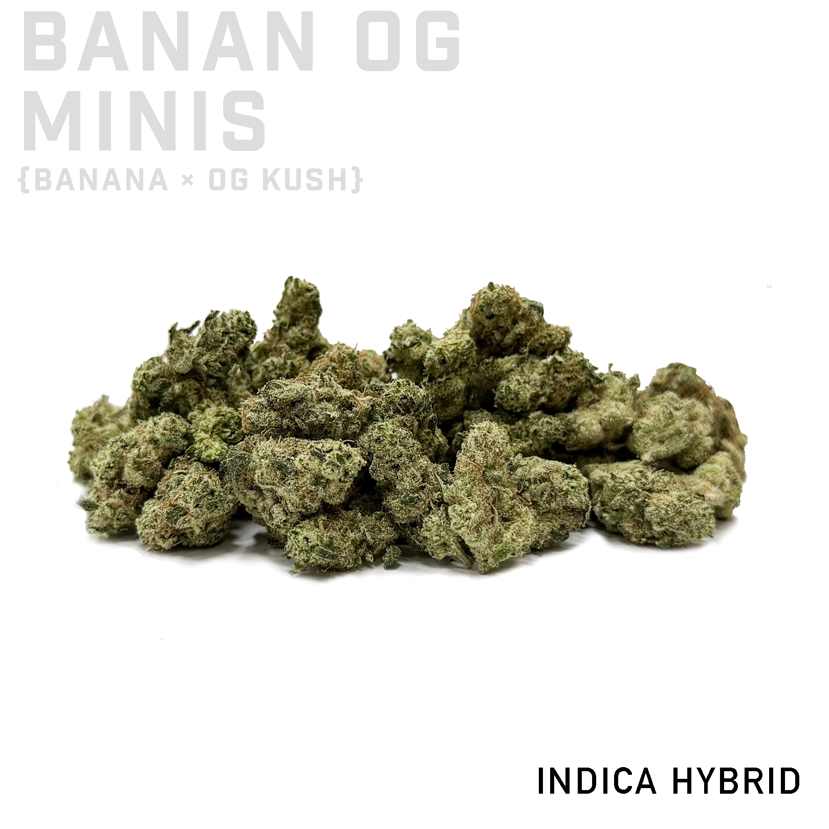 Banana OG Minis