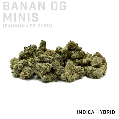 Banana OG Minis