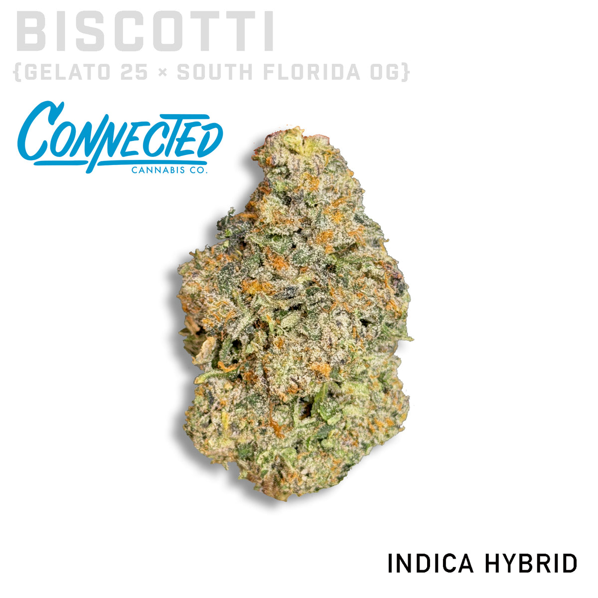 Connected Biscotti