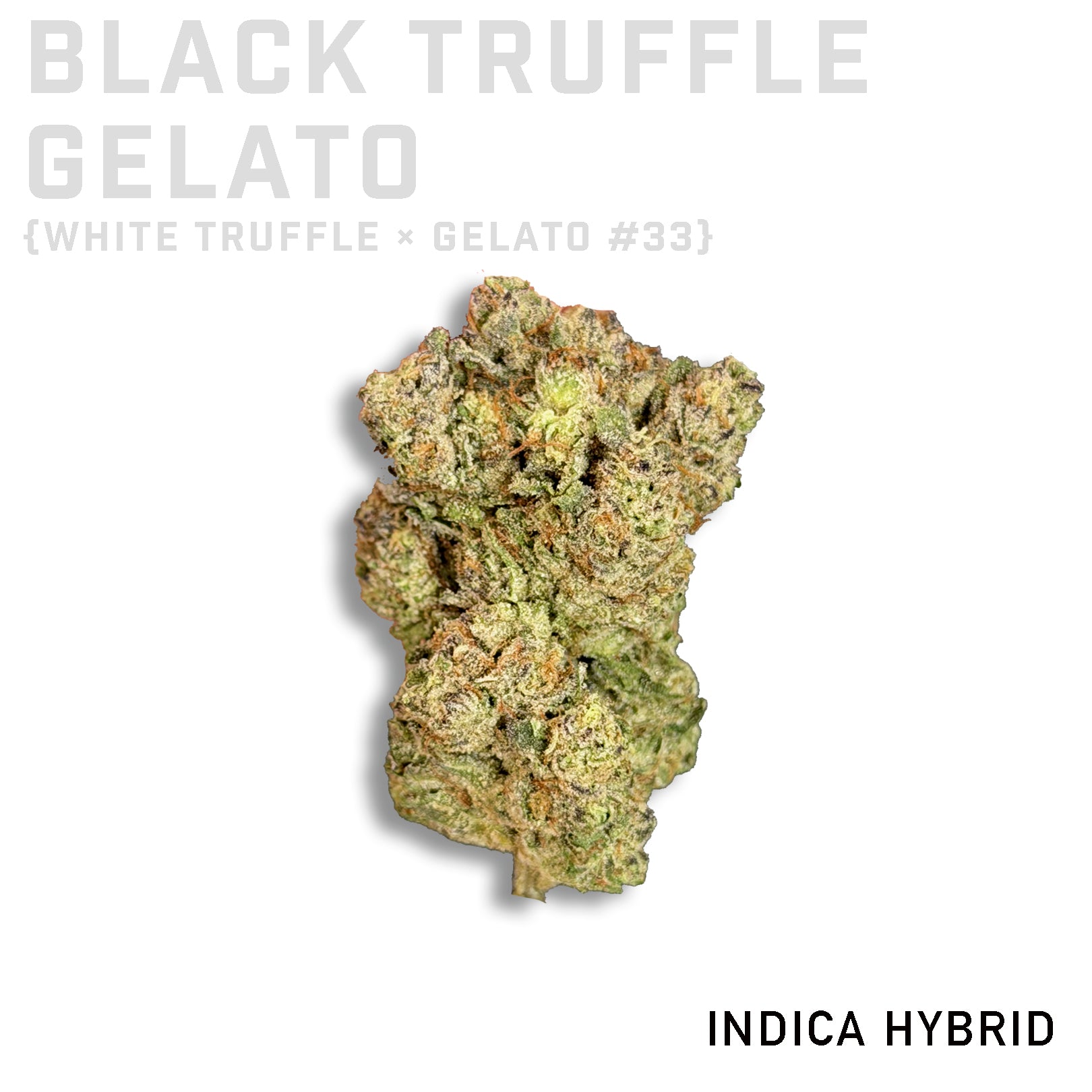 Black Truffle Gelato