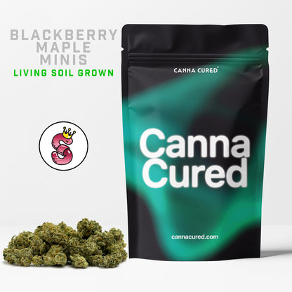 Blackberry Maple Minis by No Till Kings