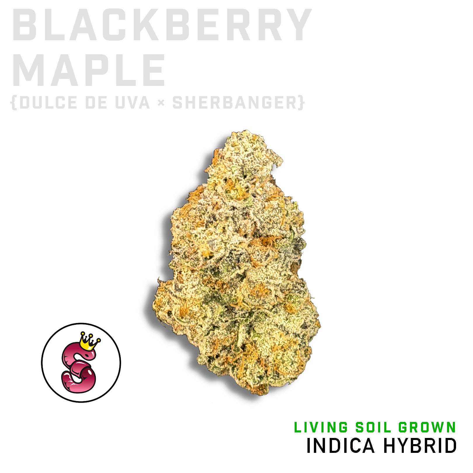 Blackberry Maple by No Till Kings