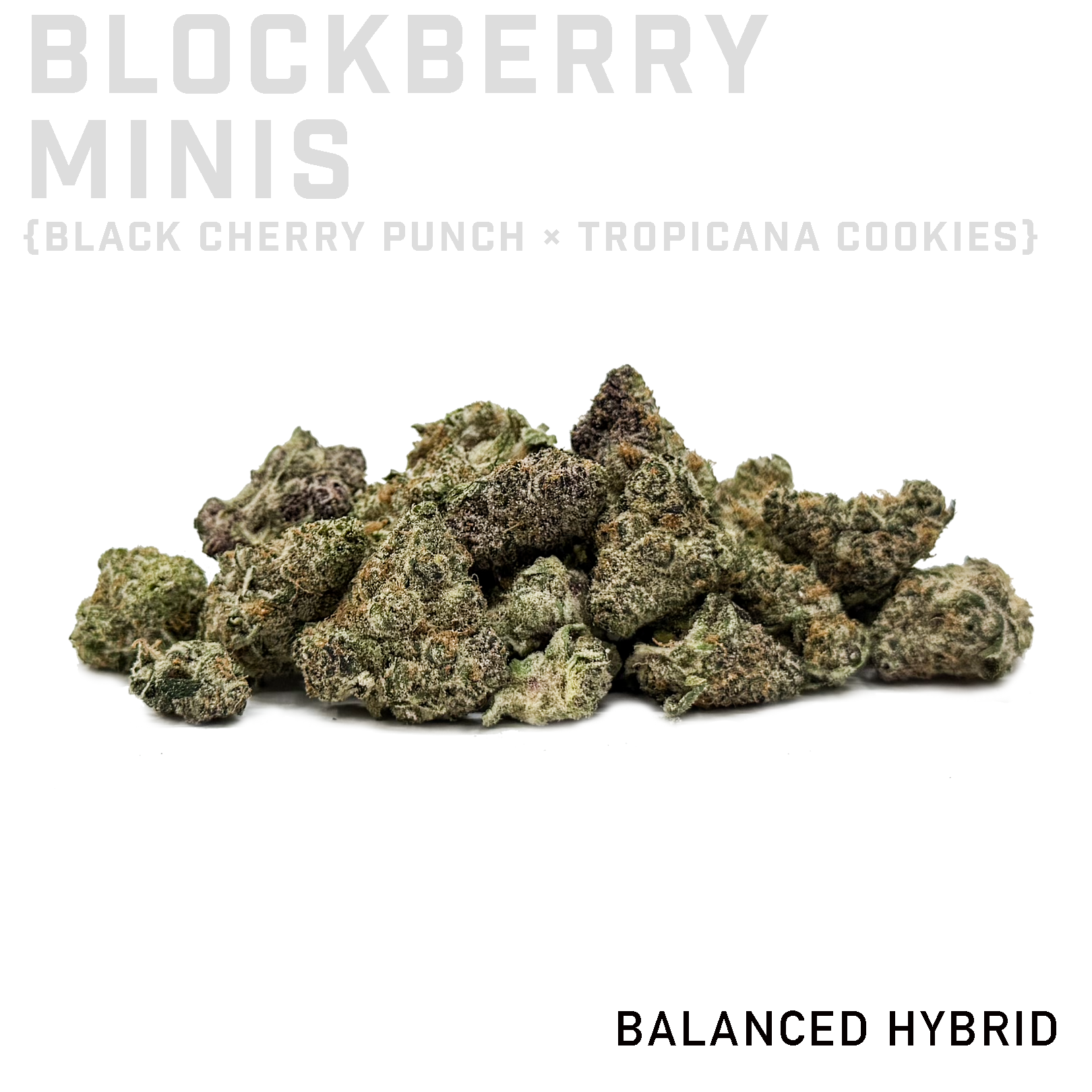 Blockberry Minis